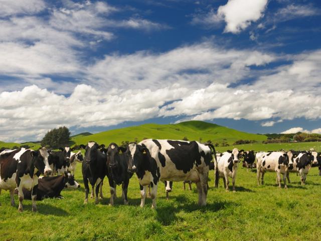 The report found 5000 dairy farms were not inspected for dairy effluent compliance.