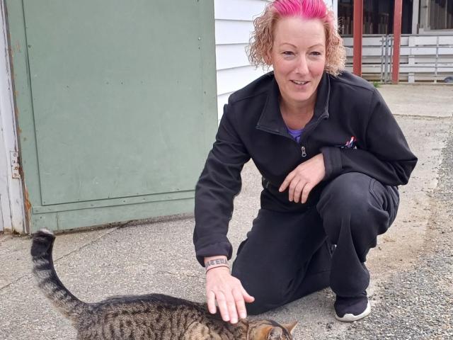 Gore woman Stacey Smith checks out how Biskit the cat is, a week after she found the feline in...