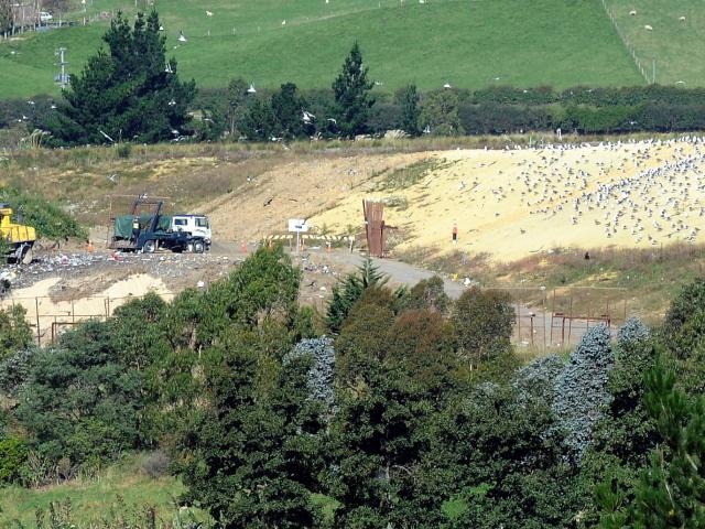 Green Island landfill. PHOTO: PETER MCINTOSH