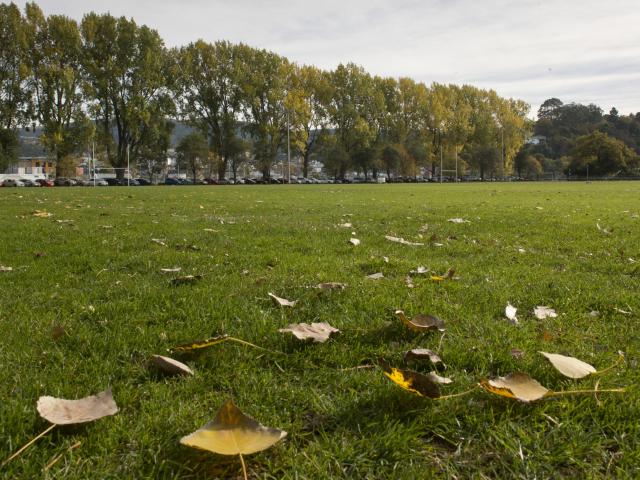 The Dunedin City Council will finally put a reserve proposal for Logan Park out to the public...