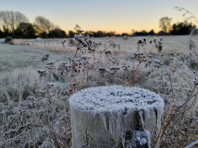 Frost in Canterbury earlier this month. The area is set for more frosts this week as temperatures...