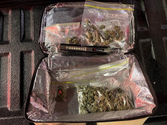 Cannabis was seized in the operation. Photo: NZ Police