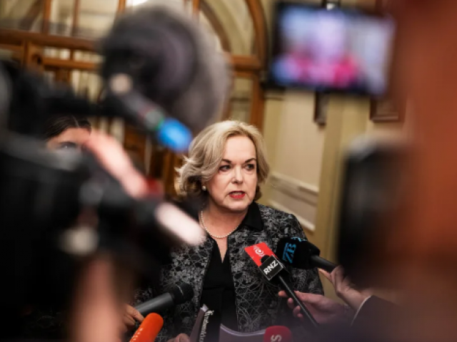 Defence Minister Judith Collins. Photo: RNZ  