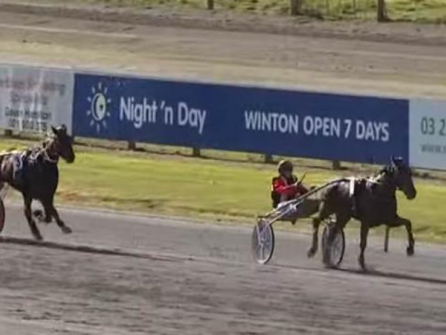 Dasher leads the field down the home straight at Winton on Saturday. PHOTO: YOUTUBE VIDEO STILL /...