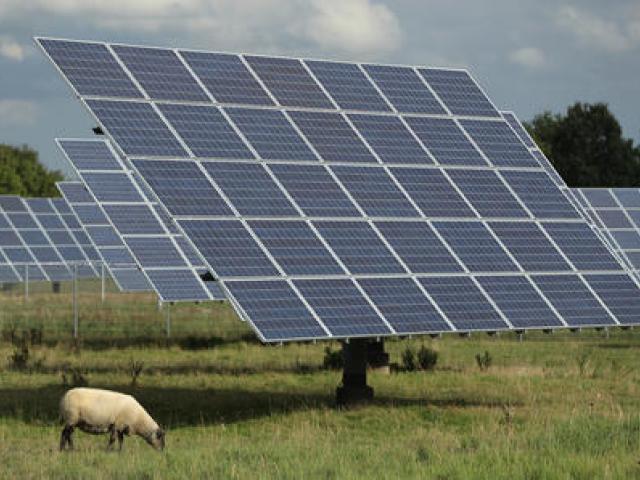 The 111-ha solar farm has been approved for Canterbury. Photo: File image / Getty
