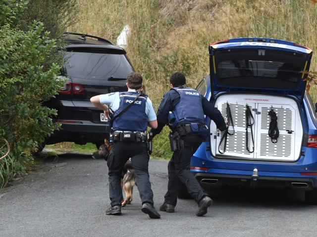 Armed police and a dog handler search Shanks St, Green Island, for a man who allegedly crashed...