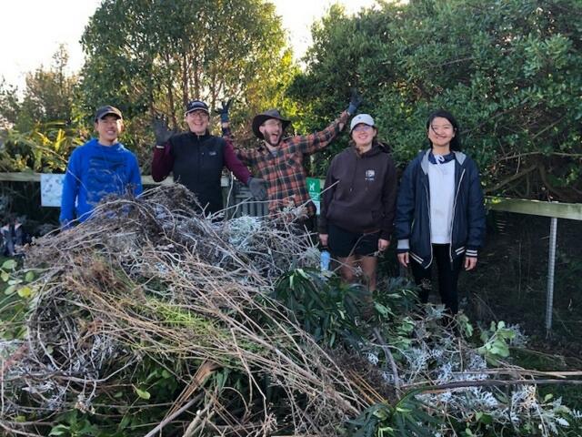 Volunteers cleaned up at Kaikōura’s little penguin colony. Photo: Supplied by Jody Weir