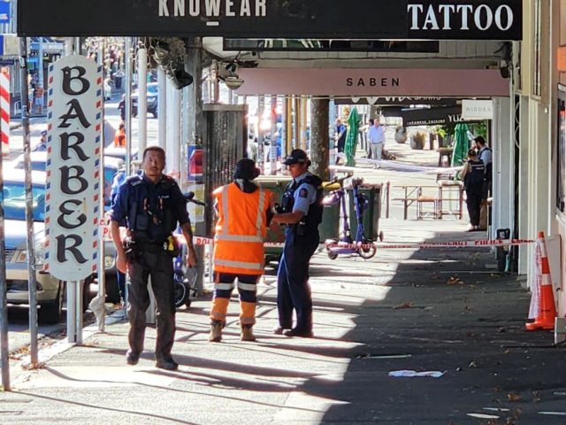 Emergency services responded to reports of a gun being fired on Ponsonby Road about 10.20pm on...