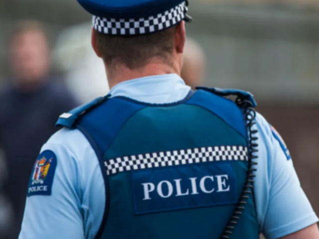 Police say mental health callouts are cutting into their crime-fighting duties. Photo: RNZ