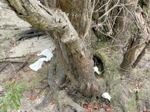 Toilet paper left by the Clutha River/Mata-au at Luggate Red Bridge freedom camping area. Photos:...