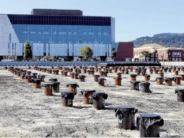 Work on the new Dunedin hospital’s inpatient building has barely begun. Photo: Gerard O'Brien