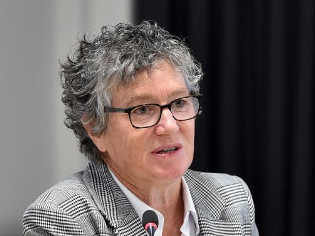 Dunedin City Council chief executive Sandy Graham has repeatedly described councillors as "f.....