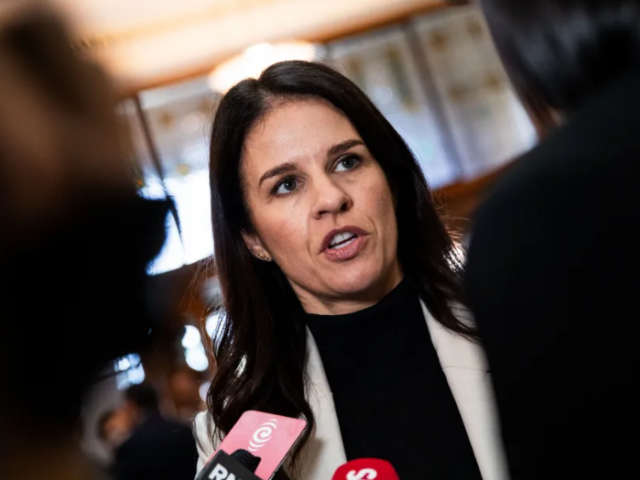 Education Minister Erica Stanford $30m million was needed for maths workbooks, guidance, and...