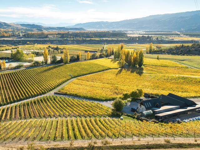 Felton Road winery, Bannockburn. Photo: supplied