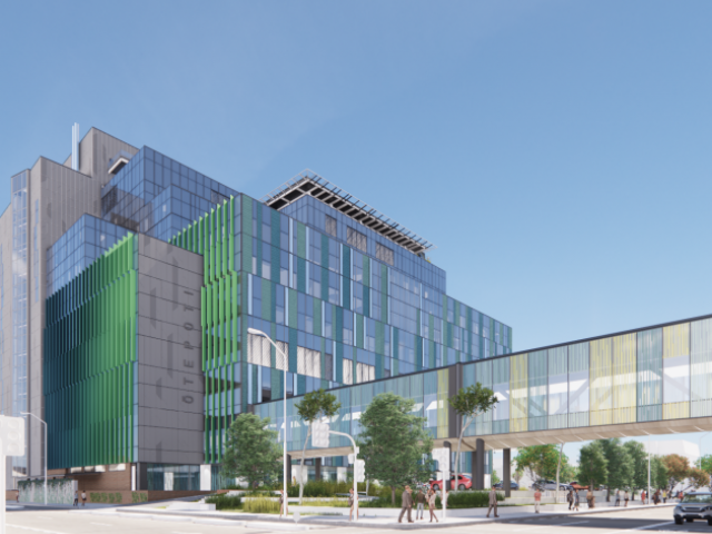 Health NZ has released the breakdown in bed numbers for the new Dunedin Hospital. Image supplied
