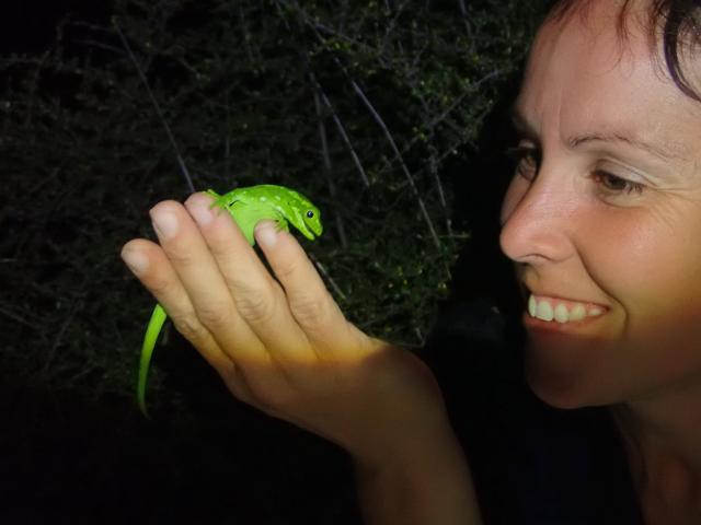 Anna Yeoman admiring a jewelled gecko at the Mokomoko Dryland Sanctuary in Central Otago. PHOTO:...
