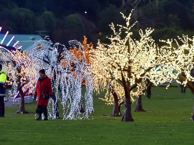 The Matariki Festival was held at Logan Park on Saturday night. PHOTOS: GREGOR RICHARDSON
