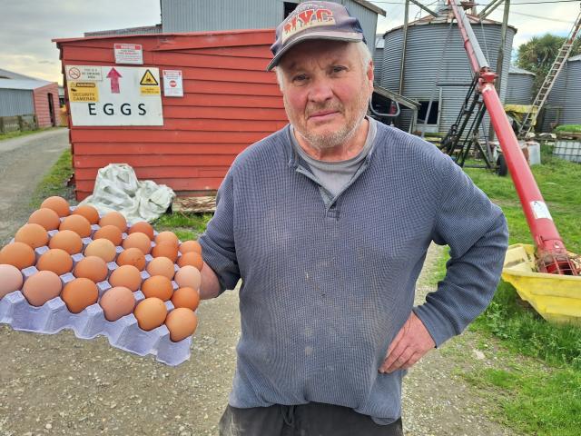 Nigel Hewitson says a housing development has affected his poultry farm. PHOTO: NINA TAPU

