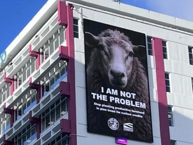 Federated Farmers have put up a billboard in Wellington claiming sheep are not the problem. Photo...