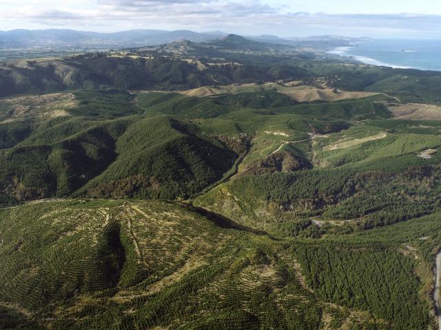 The proposed Smooth hill site looking north towards Dunedin. PHOTO: ODT FILES
