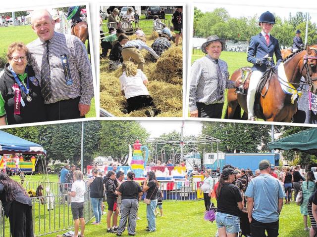 Volunteer-led A&amp;P shows such as the Gore A&amp;P Show and the Wyndham A&amp;P Show will...