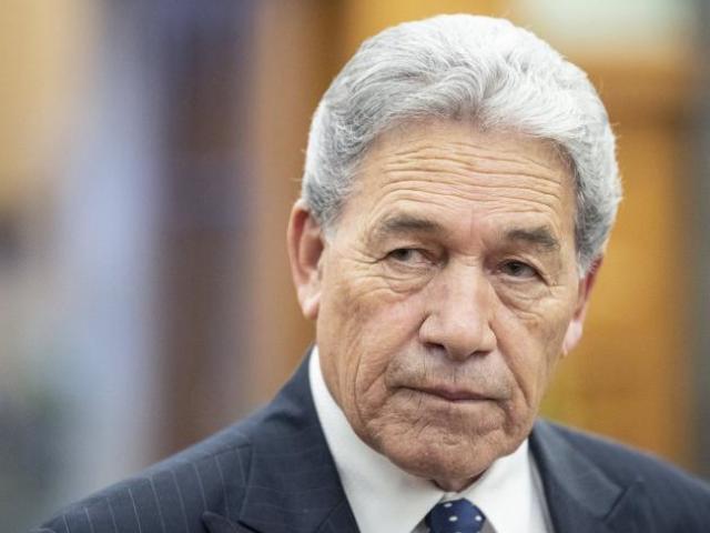 Deputy Pm Winston Peters. File photo