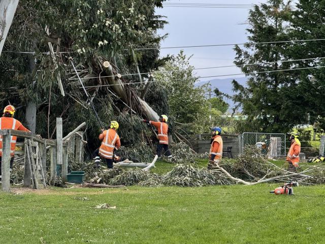 Power was cut to as many as 1600 customers across when the storm hit on Thursday. Photo: Claire...
