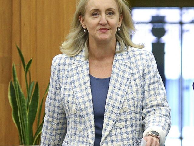 Former environment minister Amy Adams has been appointed as Crown facilitator to Waitaki District...