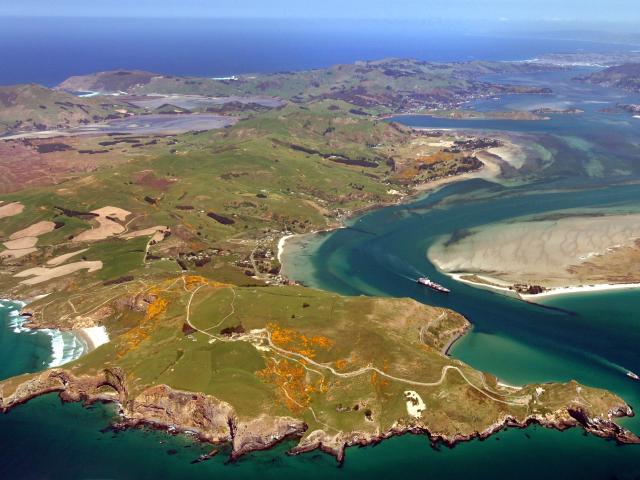 The Otago Peninsula with Taiaroa Head (foreground) and the Spit (right) looking towards Port...