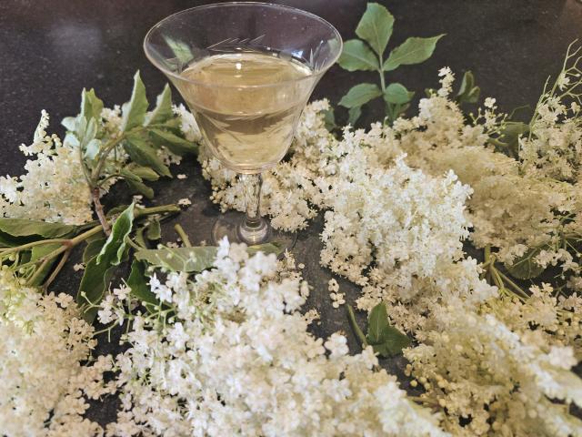 Elderflower liqueur can be served chilled in small glasses. PHOTOS: HILARY ROWLEY
