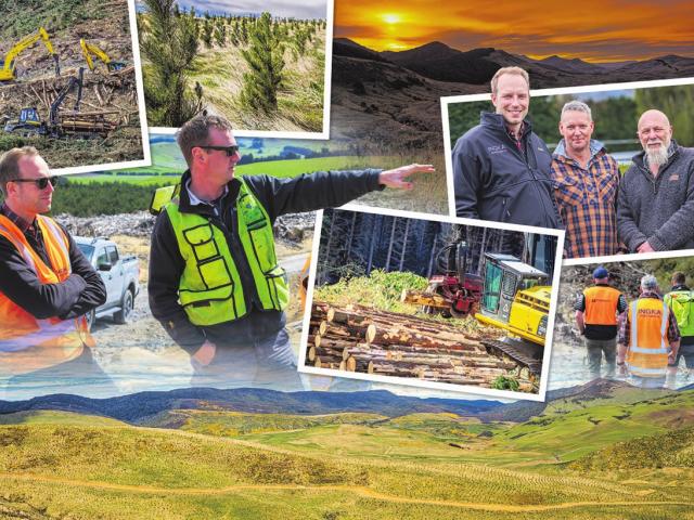 Hamish Anderson (right), of forestry company IFS Growth, shows Ingka Investments Forestland...