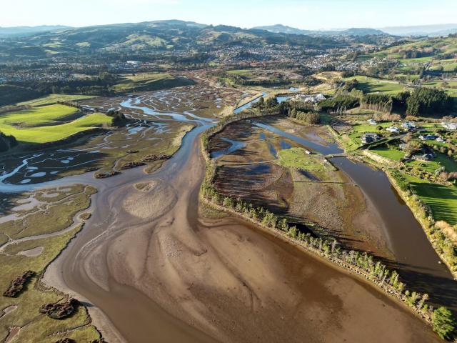 The Kaikorai estuary could be a nature haven and city asset if water pollution ends. Photo:...