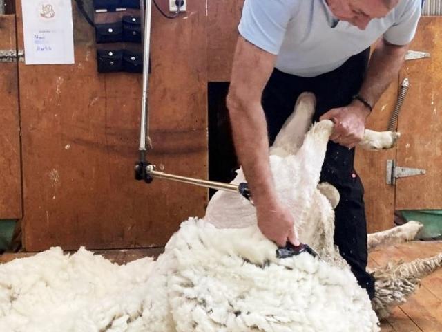 Cromwell police officer Senior Constable Paddy Henderson at work in a Central Otago shearing shed...