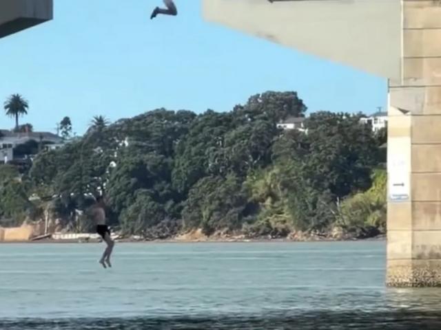 Video has emerged of two people jumping off the Auckland Harbour Bridge.&nbsp;Photo:&nbsp;Supplied