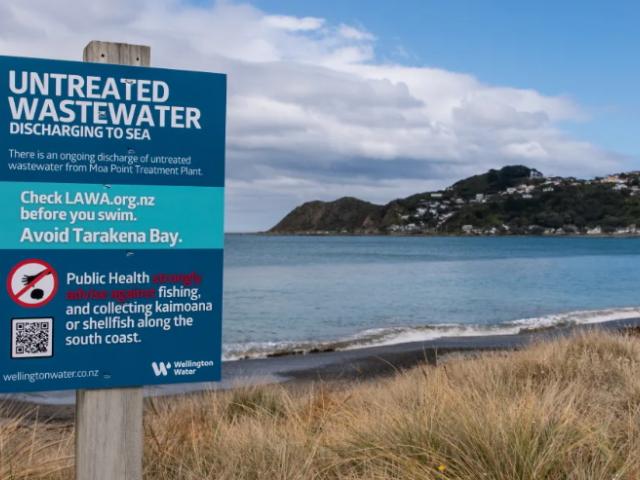 Signs on Wellington's South Coast about the wastewater spill. Photo: RNZ / Samuel Rillstone