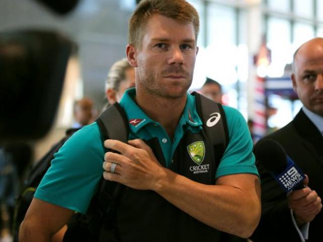 David Warner. Photo: Reuters 