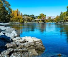 The inspiration for Otago’s sporting colours? Blue and gold on a blue sky day, downstream from...