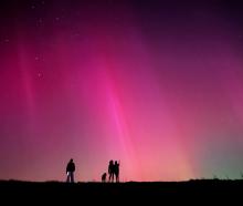 The aurora as it appears tonight over Shag Point. Photo: Al Hepburn
