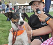 Jack Russell race winner Fred basks in the glory of his win while one of his owners, Jack Stewart...