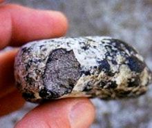 Valued at up to $40,000 a kg, Ambergris might be the most valuable poop in the world. Photo: ODT...
