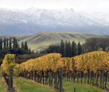 Some parts of Central Otago have already had snow this year. File photo: ODT 