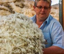 Retiring wool-classer Barbara Newton at work in a shed. PHOTO: SUPPLIED