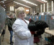 Invercargill Poultry and Pigeon club treasurer Jill Maxwell-Strang. PHOTO: BEN TOMSETT