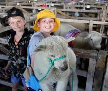 Everyone attending the South Otago A&amp;P Show was a winner, including George Moffat, 8 (left),...