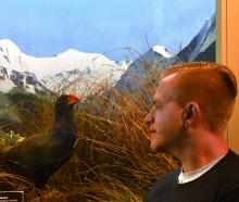 Lead author and University of Otago zoology palaeogenetics laboratory researcher Dr Alex Verry is...