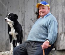 Oamaru dog triallist Angus Ferguson and his  dog Floss have achieved some success on the circuit...
