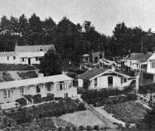 Karitane-Harris Hospital at Andersons Bay, Dunedin. — Otago Witness, 1.4.1924