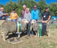 At a presentation for the supreme sheep at the Wānaka A&amp;P Show earlier this month are the...