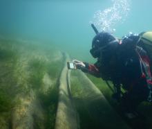 A diver inspects hessian matting on the lake bed in Paddock Bay, Lake Wānaka. Native plants can...