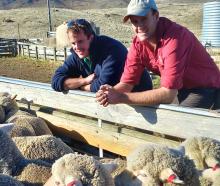 Australian Nuffield scholar Andrew Rolfe (left) views some merino sheep with Angus Fraser at Bog...